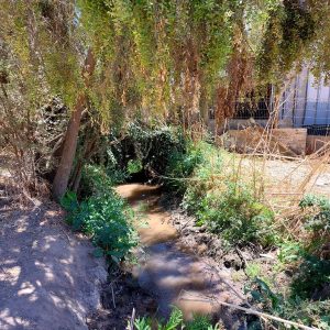 Venta parcela 3.000 m2 en Choromba | Melipilla full