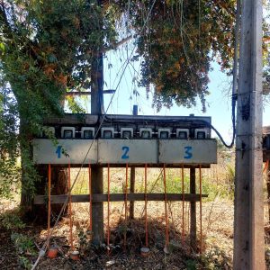 Venta parcela 3.000 m2 en Choromba | Melipilla full