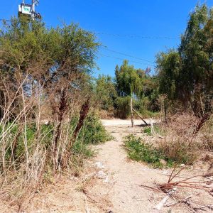 Venta parcela 3.000 m2 en Choromba | Melipilla full