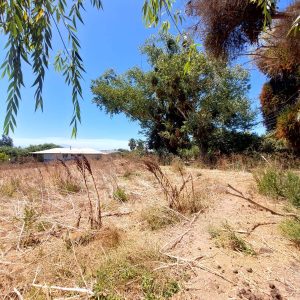 Venta parcela 3.000 m2 en Choromba | Melipilla full