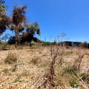 Venta parcela 3.000 m2 en Choromba | Melipilla full