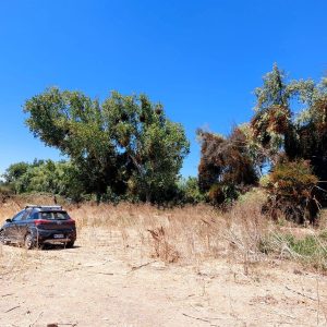 Venta parcela 3.000 m2 en Choromba | Melipilla full