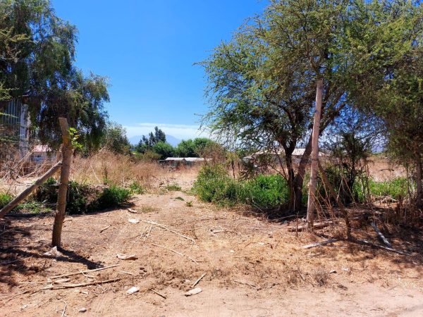 Venta parcela 3.000 m2 en Choromba | Melipilla