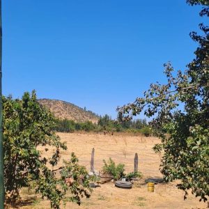 Venta parcela 3.000 m2 en Choromba | Melipilla full