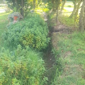 PARCELA 5000 M°2 CON CASA MELIPILLA full