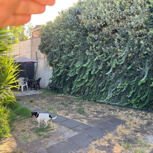 Venta casa Melipilla full